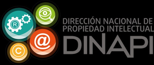 Logo DINAPI